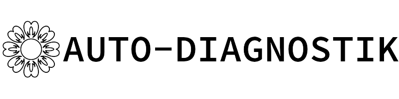 Auto-Diagnostik